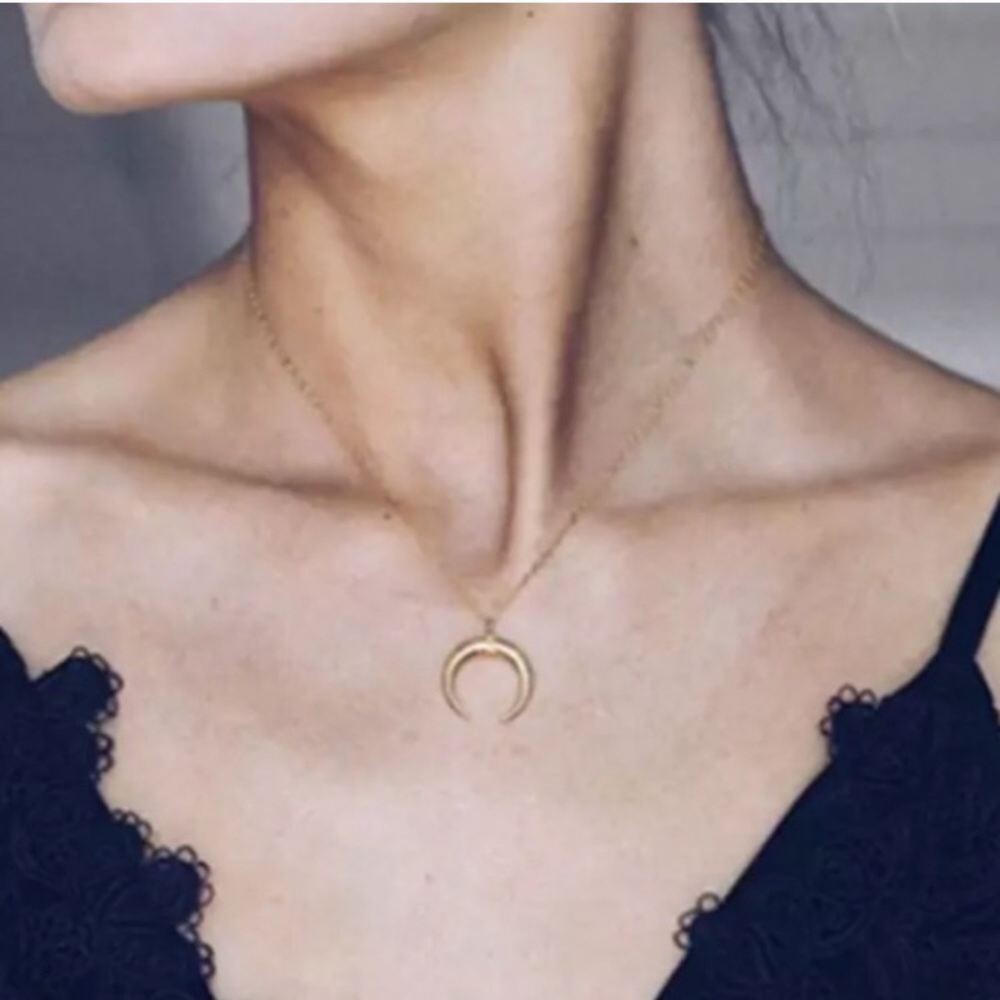 🔴5/$15🔴CLEARANCE Silver Horn Delicate Choker NEW - Picture 3 of 9